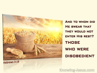 Hebrews 3:18 To Whom Did He Swear That They Would Not Enter His Rest (yellow)